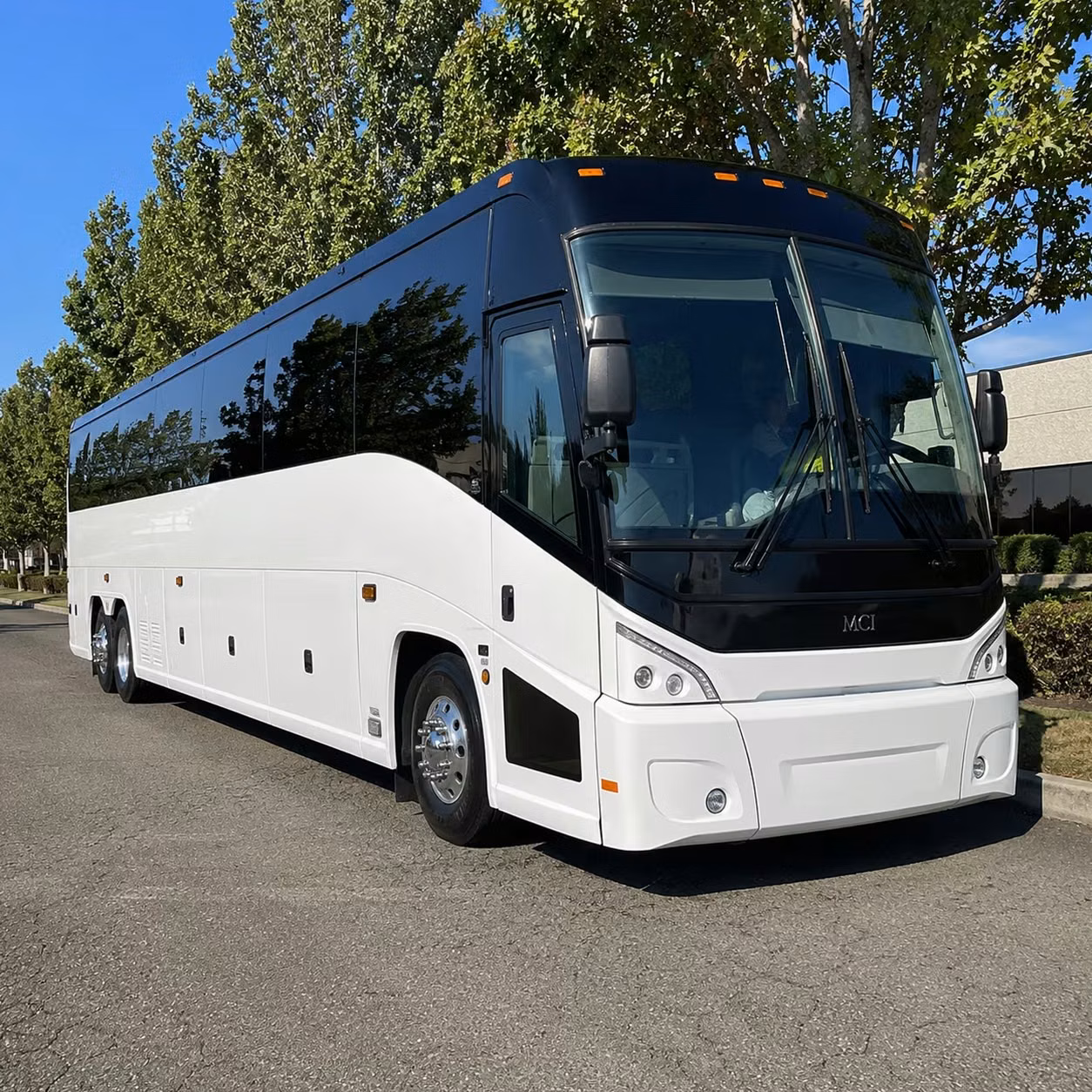 wellington charter bus rental fleet